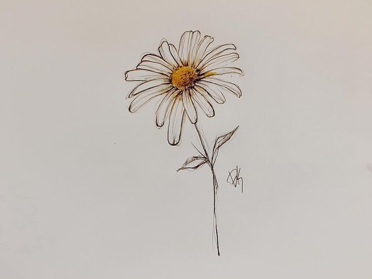 a drawing of a single flower on a white background with the words, i love you written below it