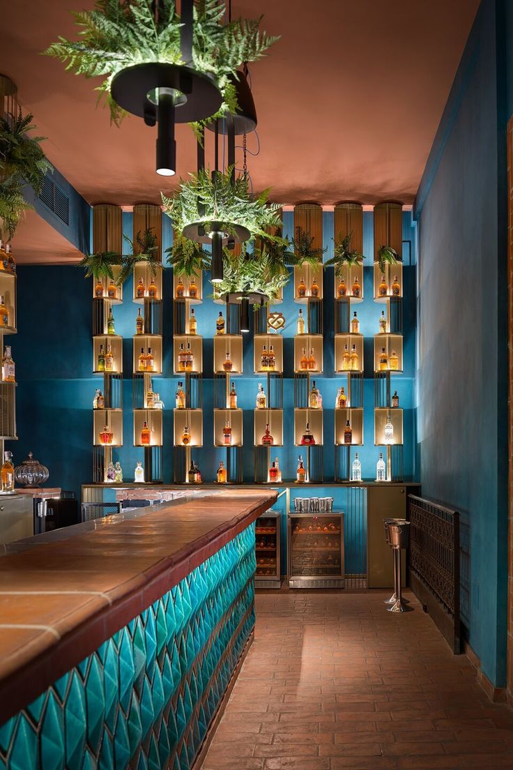 a bar with blue walls and green plants hanging from the ceiling