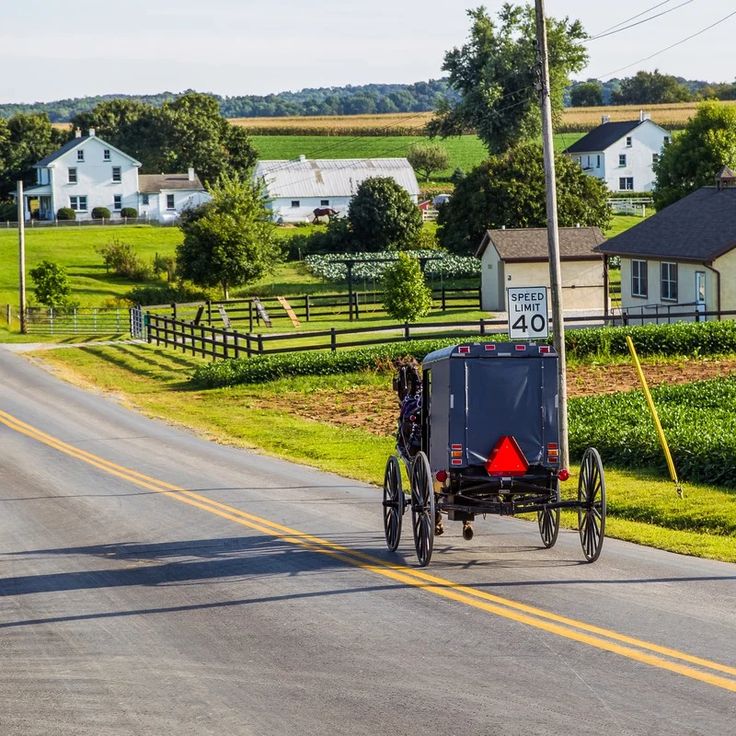 a horse and buggy traveling down the road with houses in the background on either side