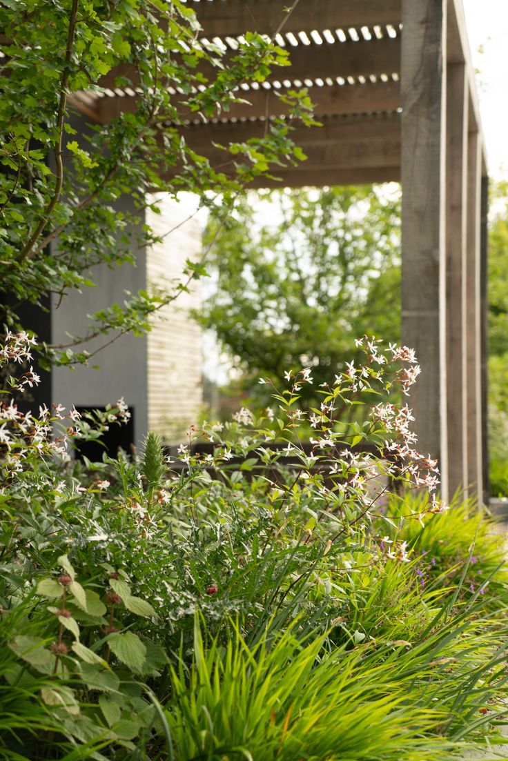 an outdoor area with lots of green plants and flowers in the foreground, under a pergolated roof