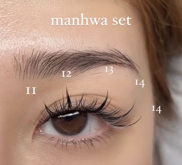 Natural Manhua Lash Extensions, Eye Lashes Styles, Fake Lashes For Asian Eyes, Anime Cat Eye Lash Extensions, Asian Lash Extensions Mapping, Hybrid Anime Lash Extensions, Manhwa Lashes Extension, Anime Eye Lashes Extensions, Anime Eyelashes Extensions