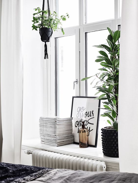 a window sill filled with lots of plants next to a white radiator