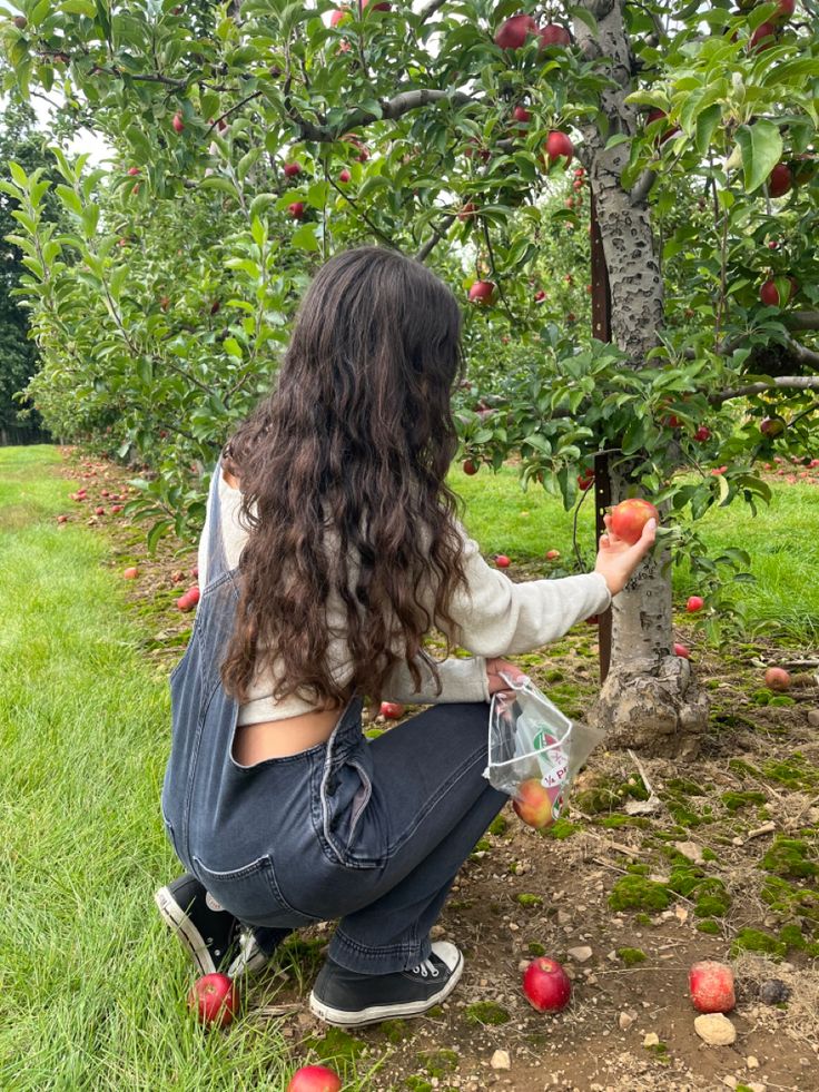 Peach Picking Aesthetic, Fall Apple Picking Aesthetic, Apple Girl Aesthetic, Apple Picking Aesthetic Fall, Seasonal Goals, Apple Picking Aesthetic, Picking Cherries, Apple Picking Photos, Apple Picking Outfit Fall