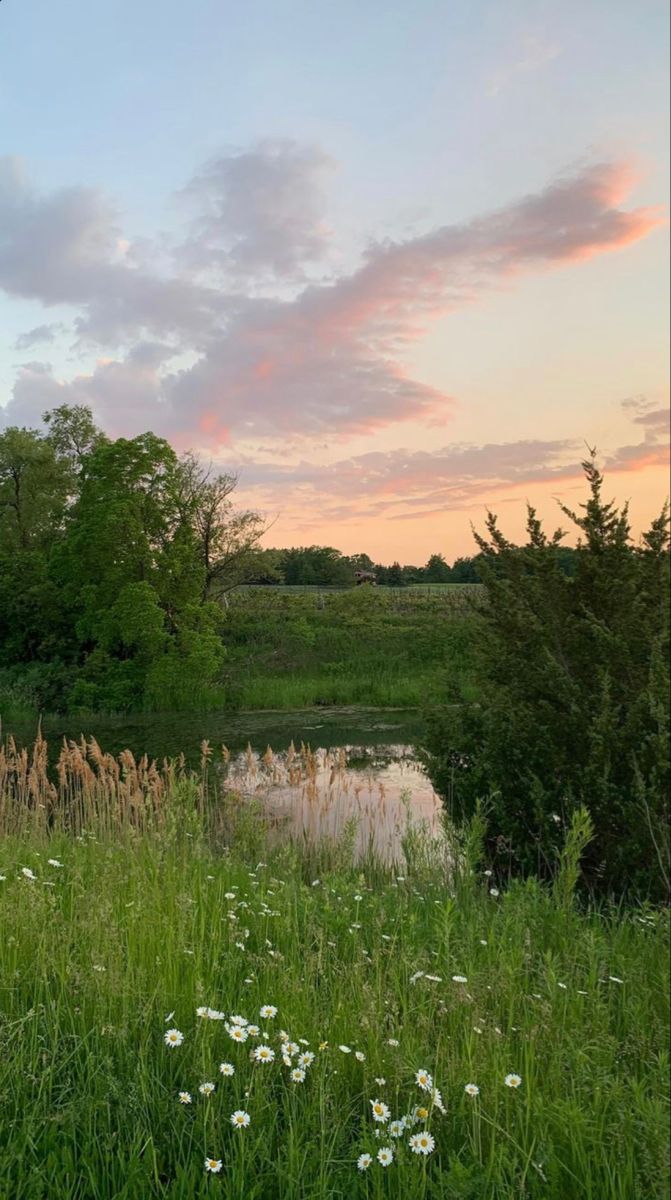 the sky is pink and blue as the sun sets over a pond with wildflowers