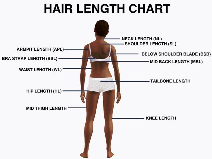 Hair Length Chart | Hair Inspiration Hair Length Guide, Quotes Rainbow, Hair Chart, Natural Hair Rules, Waist Length Hair, Hair Length Chart, Hair Growth Cycle, Simple Prom Hair, Haircut Types