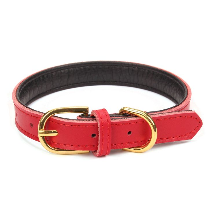 a red leather dog collar with gold buckles