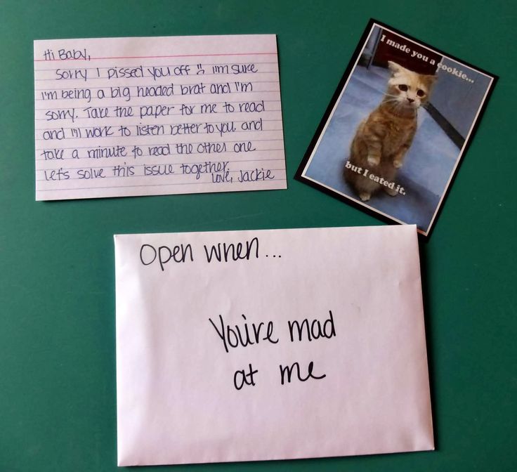 a green bulletin board topped with notes and pictures next to a cat sitting on top of it