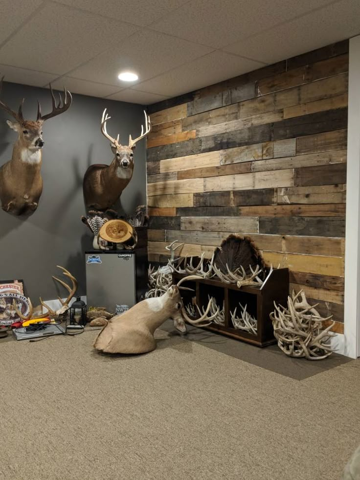 several deer heads mounted on the wall in an office setting with antlers and wood planks