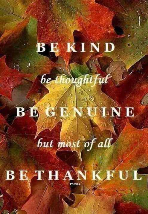 an image of autumn leaves with the words be kind of beautiful, beginner but most of all