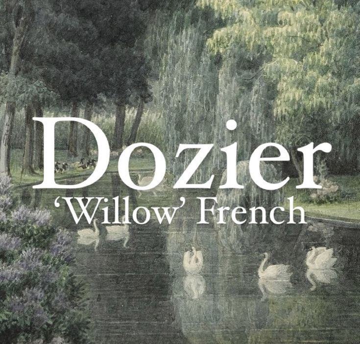 Baby boy name Dozier. Dozier meaning ‘Willow’. French origin. French Names With Meaning, French Surnames For Characters, Fantasy Surnames With Meaning, Pretty Surnames, Vintage Surnames, Surnames And Meanings, French Names And Meanings, Surname Meanings, Surnames Aesthetic