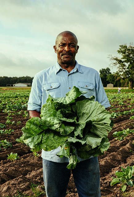 a man standing in the middle of a field holding a bunch of lettuce