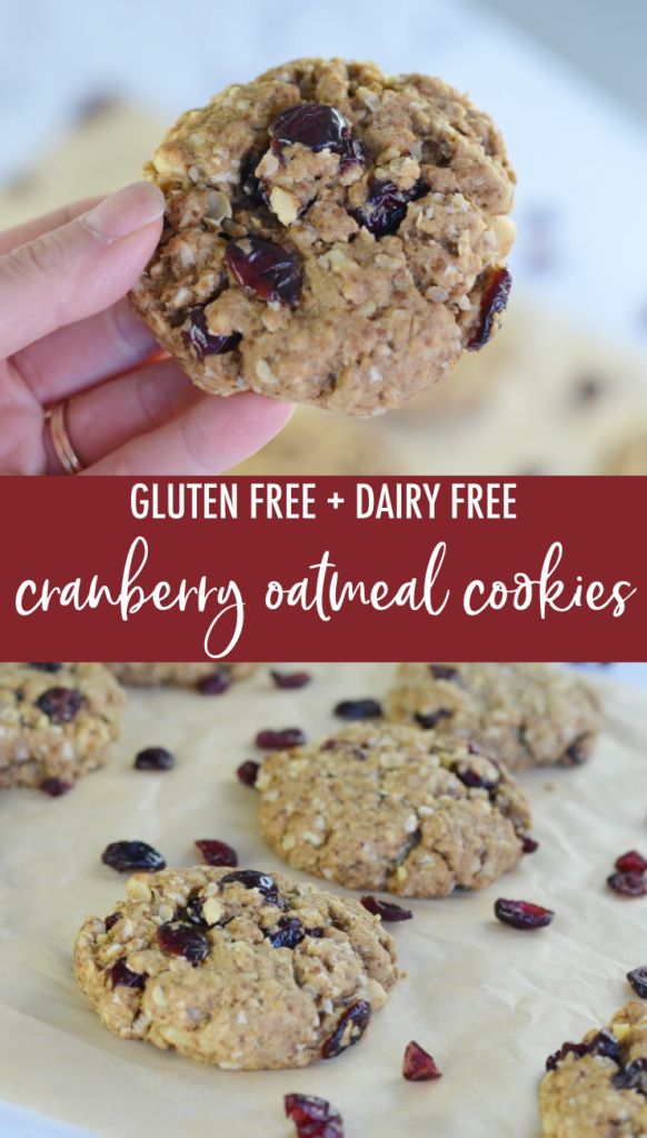 gluten free and dairy free cranberry oatmeal cookies