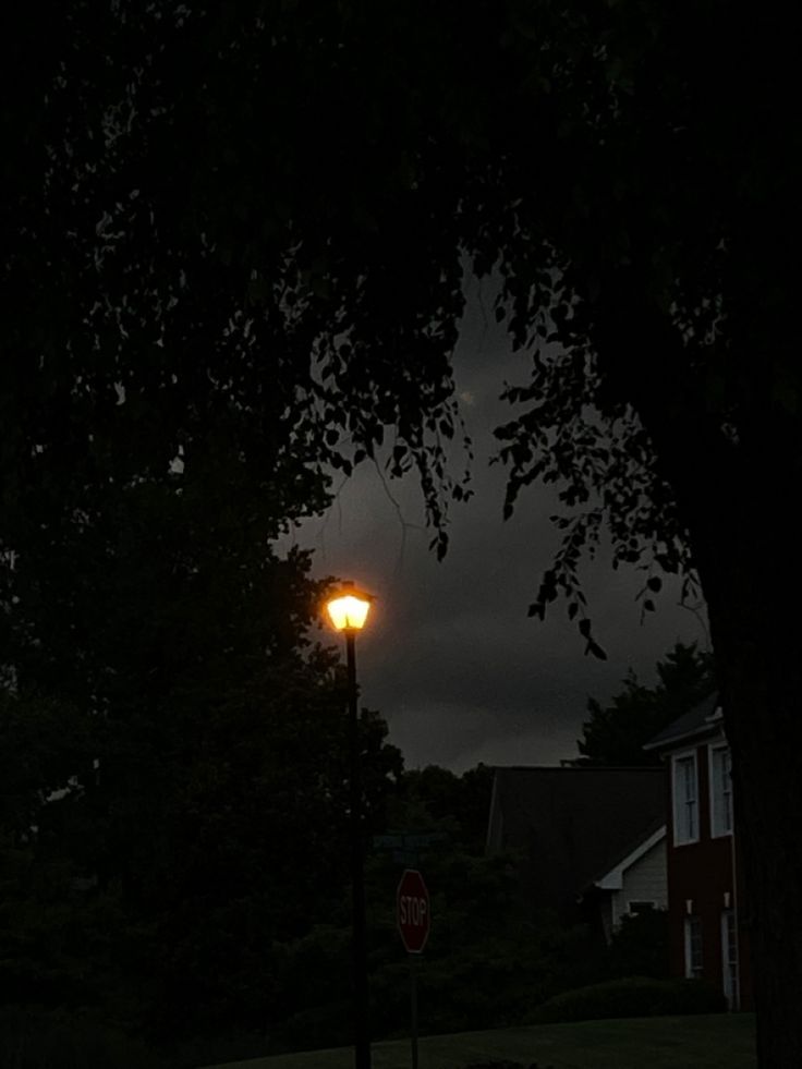 a street light is lit up in the dark by some trees and bushes at night