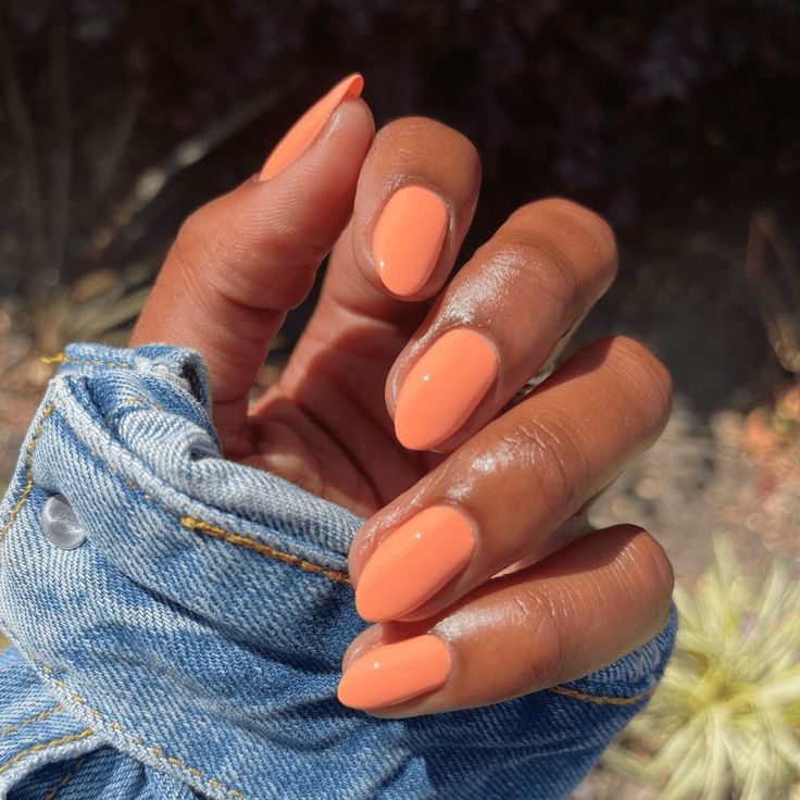 Pastel Nails Orange, Orange Creamsicle Nail Color, Creamsicle Orange Nails, Orange Nails Dark Skin, Tangerine Nail Color, Simple Summer Nails Solid Color, Orange Sherbet Nails, Peach Coloured Nails, Milky Peach Nails