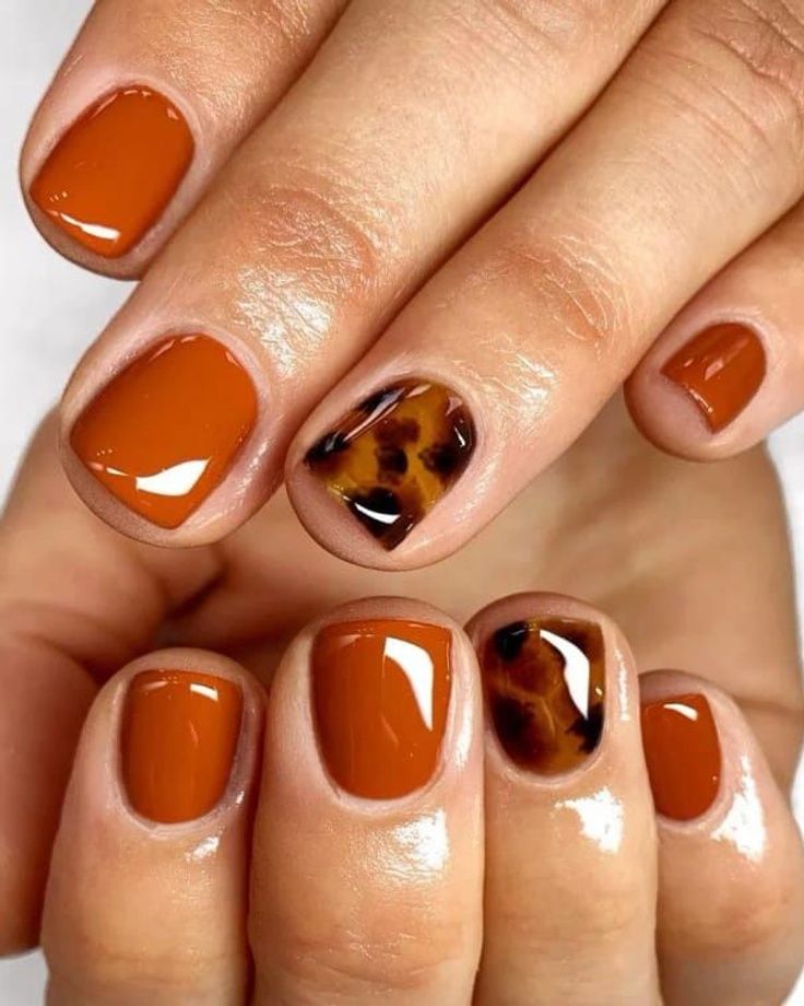 Elevate your manicure with these classy fall nails in a pretty burnt orange hue! Whether you're looking for trendy nail ideas or a unique design, you can't go wrong with these short and simple burnt orange nails with a tortoiseshell motif! Burnt Orange Nails Designs Summer, Short Square Fall Nails 2024, Thanksgiving Nail Inspo Short, November Nails Fall Short Dip, Thanksgiving Nails Short Square, Simple Fall Nails Autumn Short, November Nails Designs Fall Short, October Pedicure, Orange Gel Nails Short