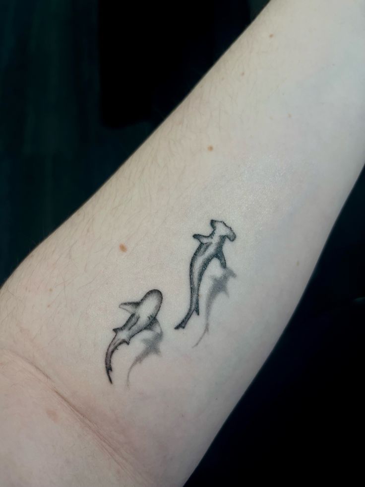 Shark Tattoo Shark Tattoo Dotwork, Shadow Shark Tattoo, Ghost Shark Tattoo, White Tip Reef Shark Tattoo, Line Art Shark Tattoo, Shark Tattoo Wrist, Girly Shark Tattoo, Small Hammerhead Shark Tattoo, Blacktip Reef Shark Tattoo