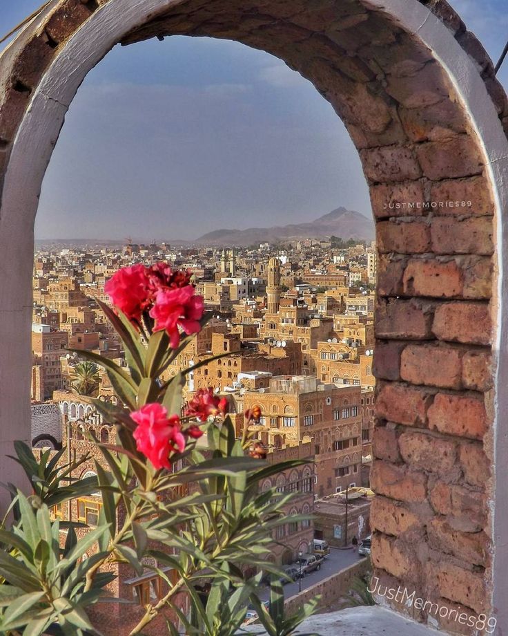 red flowers are in the foreground, and an arch over looking a large city