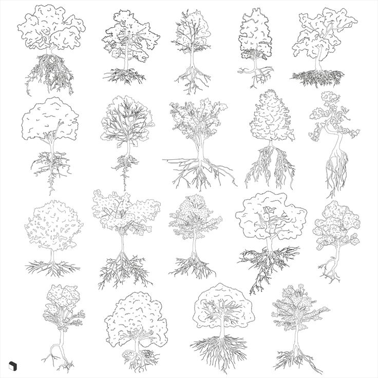 an image of trees drawn in black and white