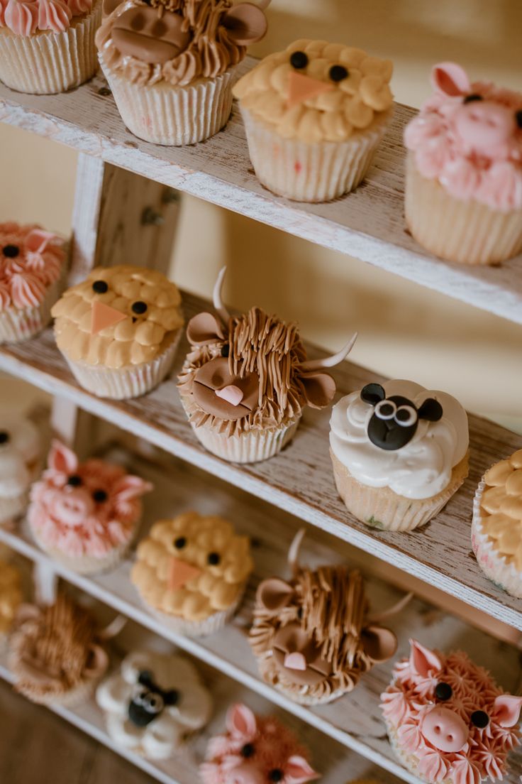 cupcakes are arranged on three tiered shelves