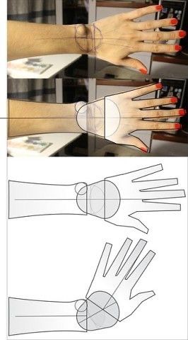 the hands are shown with different shapes and sizes