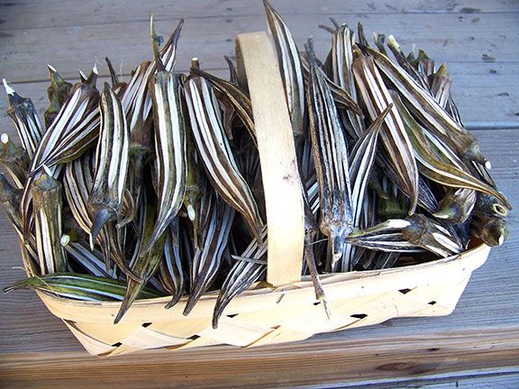 a basket filled with lots of dead fish