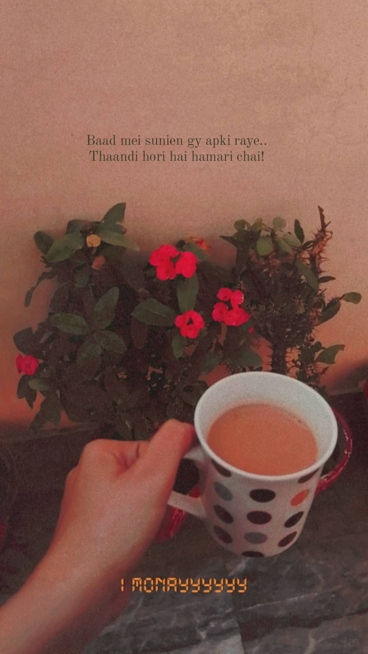 a person holding a cup of coffee next to a potted plant with red flowers