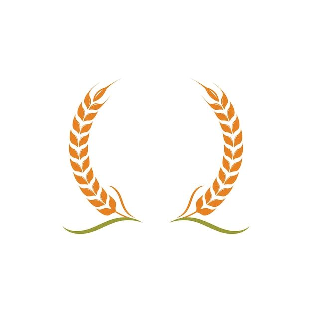 two ears of wheat are shown in the shape of an oat and one is orange