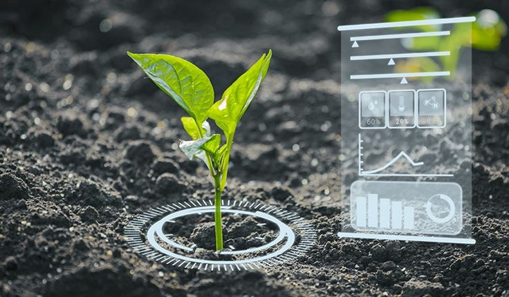 a small plant sprouts from the ground next to a clear plastic container with information on it