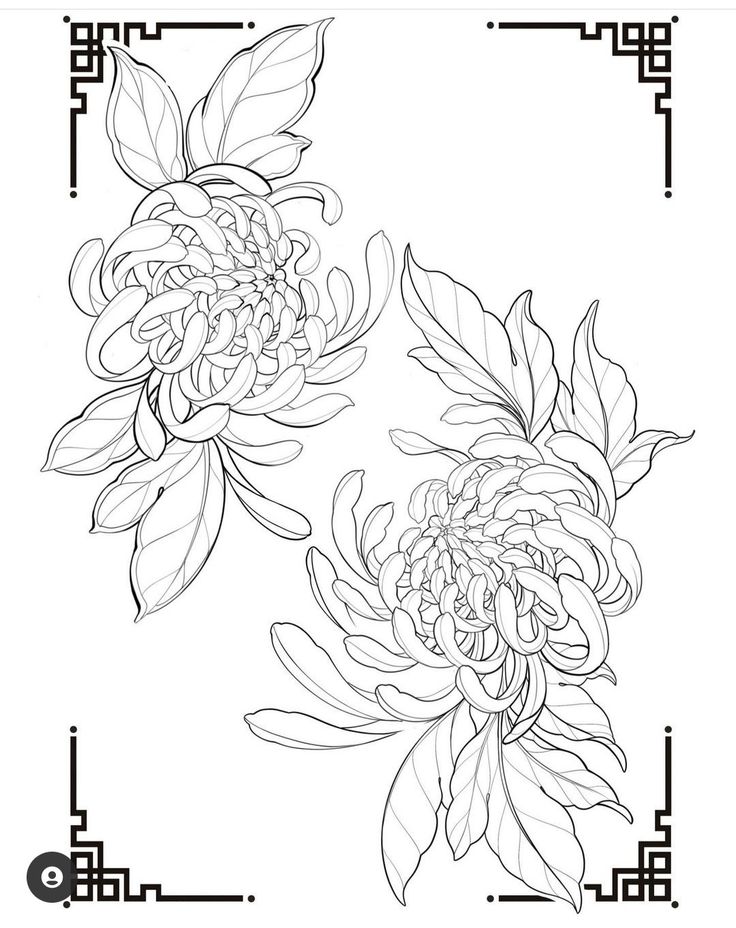 two flowers are shown in black and white, with the number one on each side