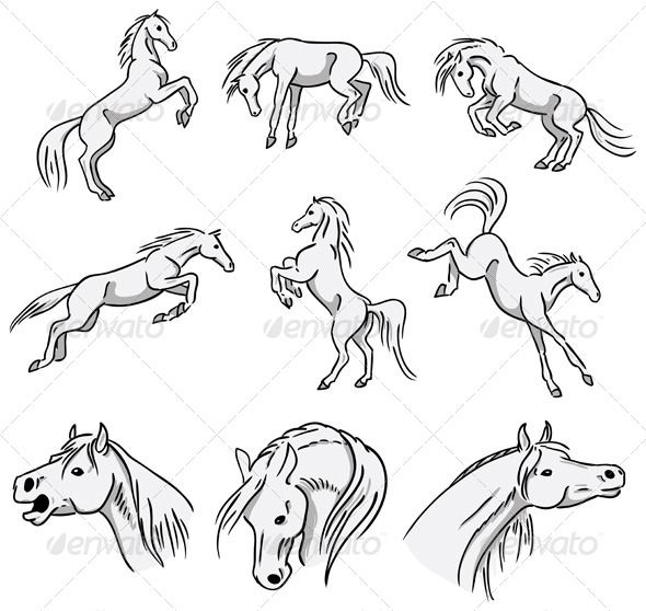 horse silhouettes set - animals characters