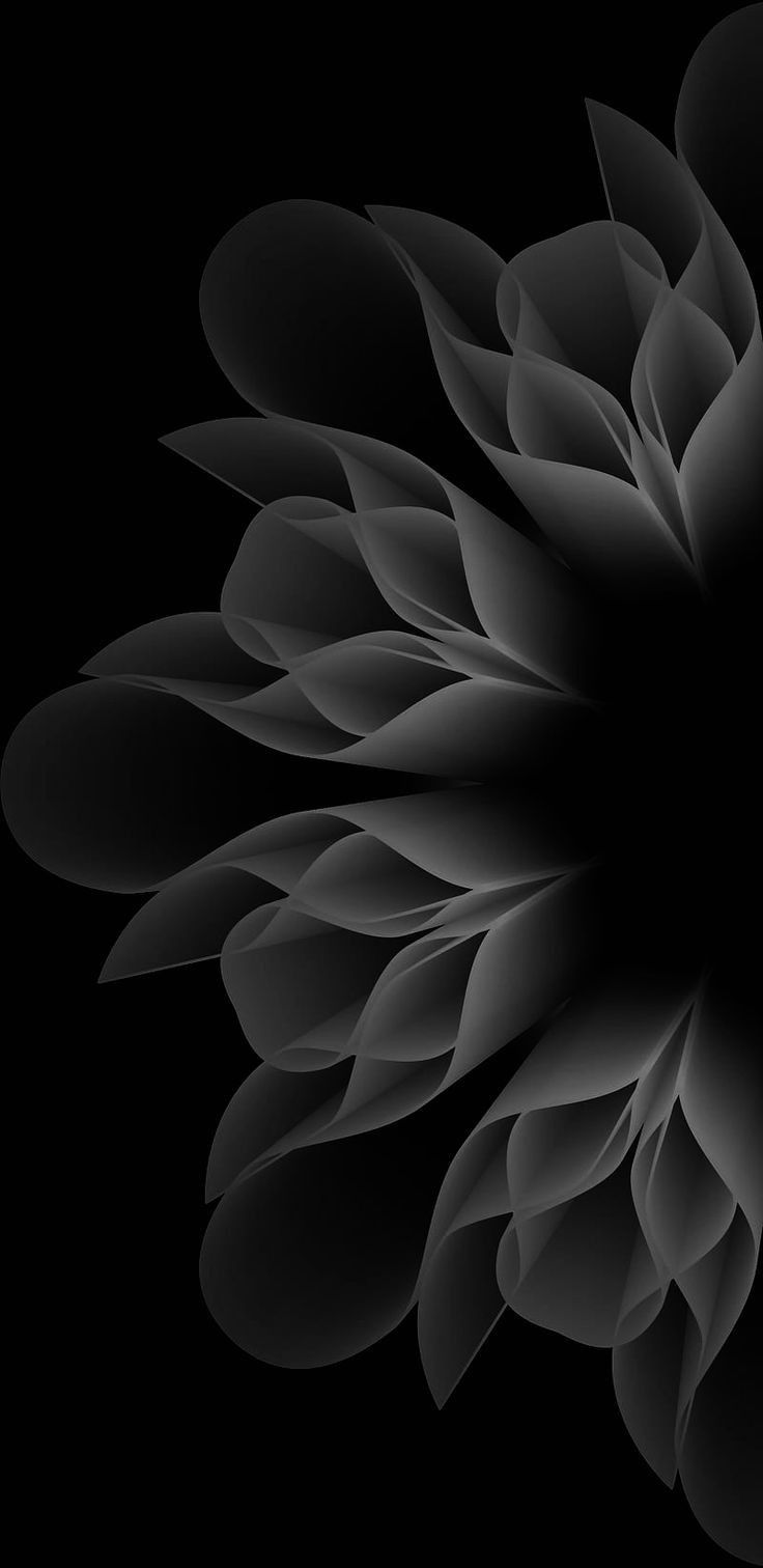 an abstract black and white flower on a black background