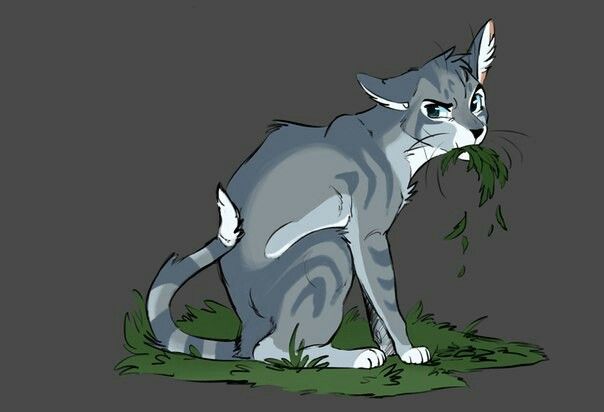 a gray cat sitting on top of grass next to a green leafy plant in it's mouth