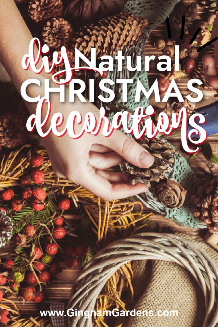 hands holding a christmas decoration with text overlay that reads diy natural christmas decorations