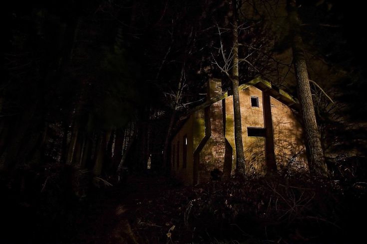 an outhouse in the woods at night with light shining on it's windows