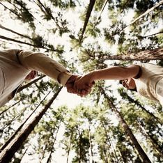 two people are holding hands in the middle of a tree - lined forest, looking up into the sky