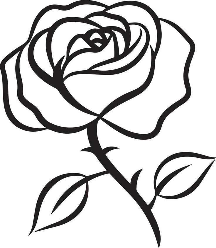 a black and white drawing of a rose