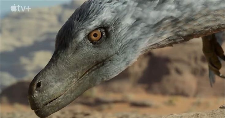 an image of a bird that is looking at something in the distance with mountains in the background