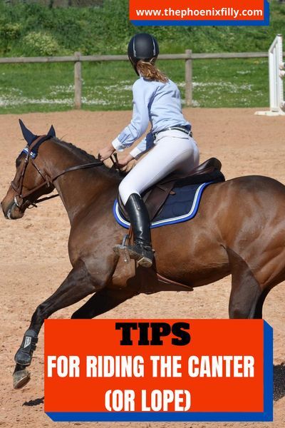 a woman riding on the back of a brown horse with text overlay reading tips for riding the center or slope