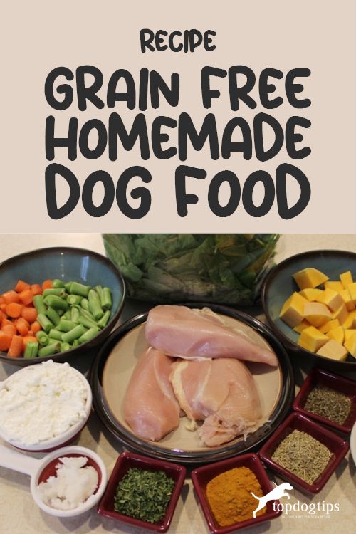 the recipe for grain free homemade dog food