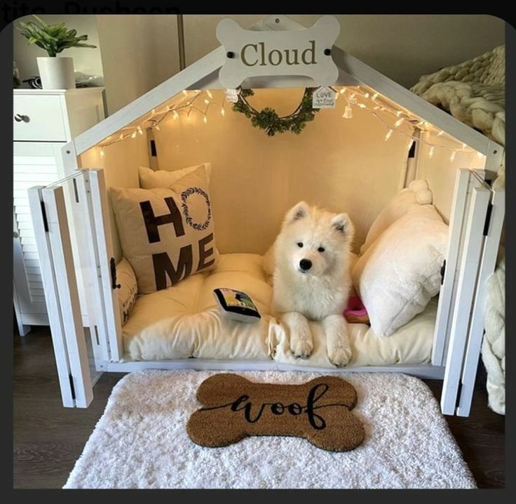 a white dog sitting in his bed with the word woof on it's side