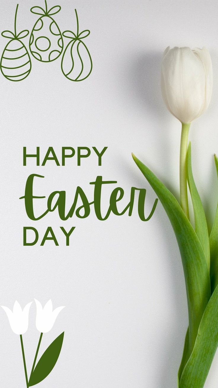 a white tulip sitting on top of a table next to a happy easter card