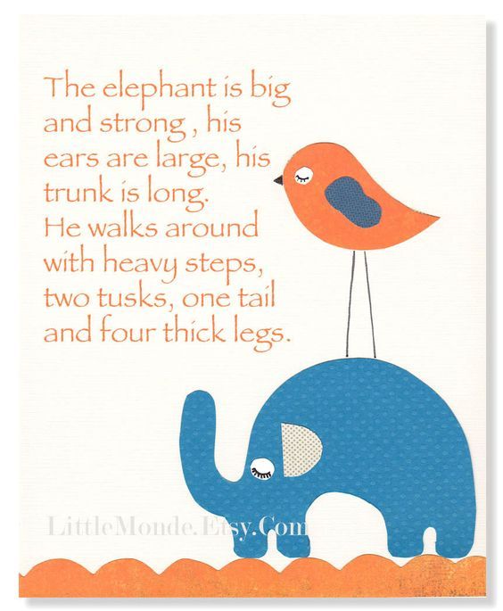 the elephant is big and strong, his ears are large, his trunk is long he walks around with heavy steps, two tusks, one tail and four thick legs