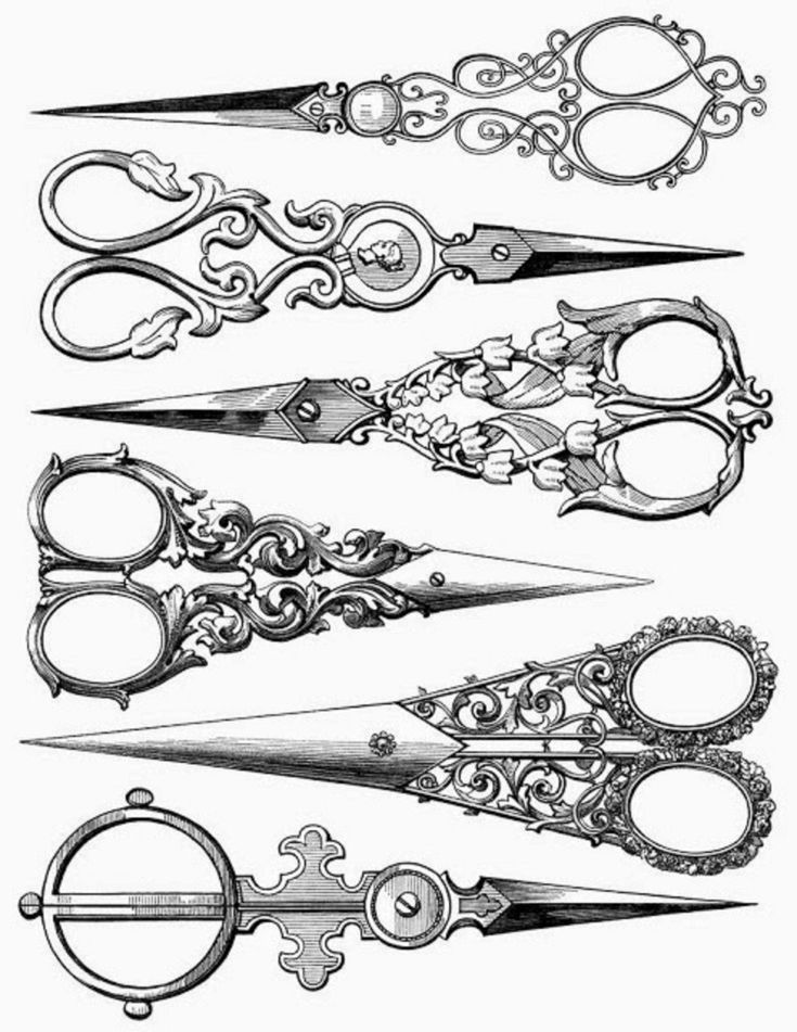 an old fashioned set of scissors with ornate designs on the handles and sides, vintage line drawing or engraving illustration