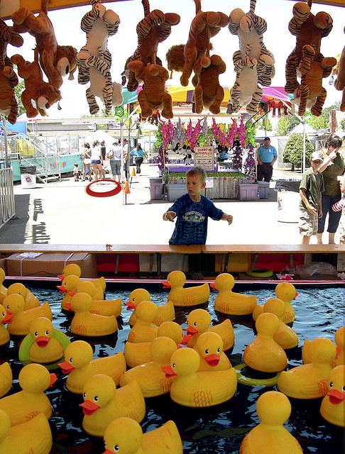 a boy standing in front of a bunch of yellow rubber ducks with stuffed animals hanging above them