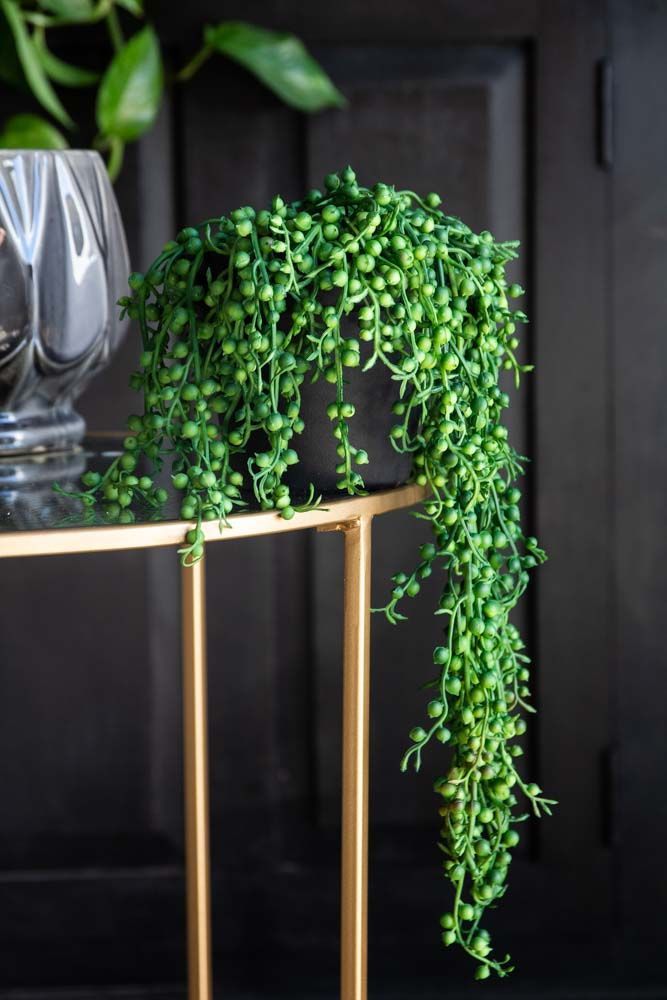 a plant is growing on the side of a metal stand next to a glass vase