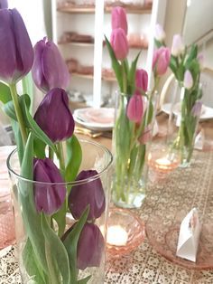 purple tulips are in vases on the table