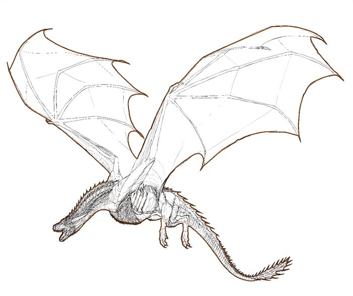 a drawing of a dragon with wings spread out