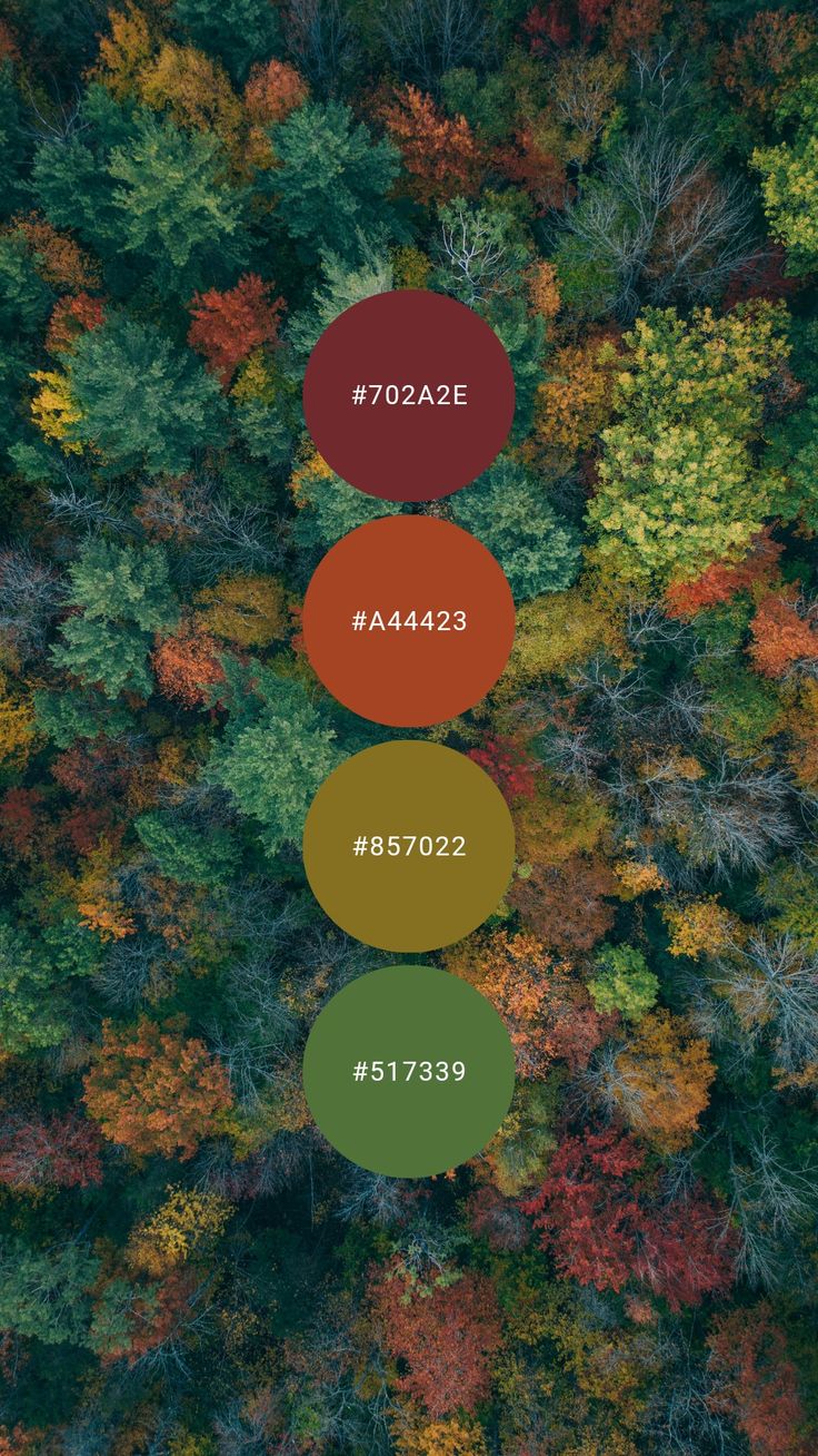 an aerial view of trees in the fall with different colors and numbers on them, from above