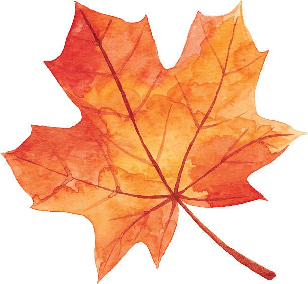 an orange maple leaf is shown on a white background with the words autumn written below it