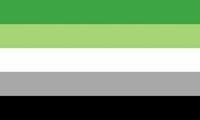 the flag of united states of america is shown in green, white and gray stripes